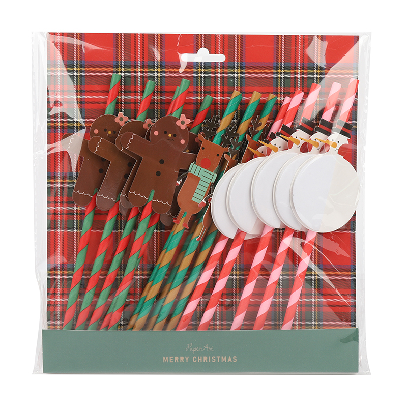 Christmas Paper Straw Set XMAS PA-0142